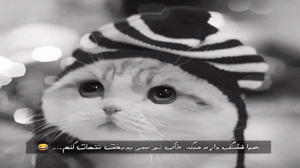 اگه خاک من از دست بره جایی ندارم